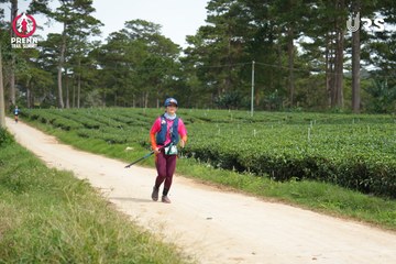 PRENN TRAIL SUMMIT 2024 - Ảnh #2969128