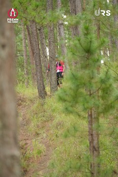 PRENN TRAIL SUMMIT 2024 - Ảnh #2972603
