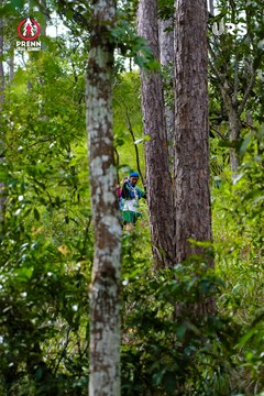 PRENN TRAIL SUMMIT 2024 - Ảnh #2968643