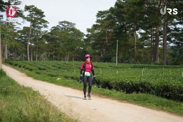 PRENN TRAIL SUMMIT 2024 - Ảnh #2970172
