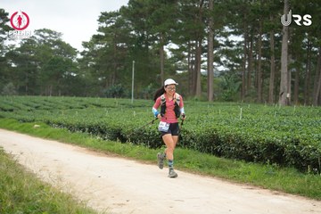 PRENN TRAIL SUMMIT 2024 - Ảnh #2978285