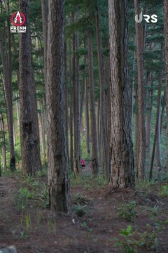 PRENN TRAIL SUMMIT 2024 - Ảnh #2970853