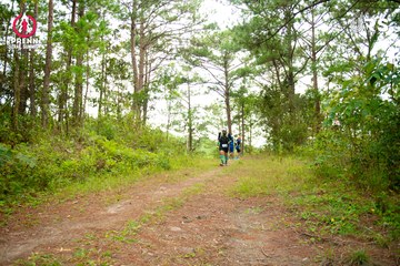 Ảnh sự kiện PRENN TRAIL SUMMIT 2024 - 2ea09377828303146cebedb870ced47a.jpg