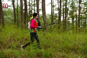 Ảnh sự kiện PRENN TRAIL SUMMIT 2024 - 384f4b46edf64977363e89aef029c905.jpg