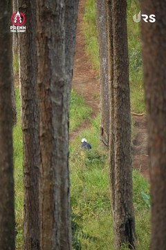 PRENN TRAIL SUMMIT 2024 - Ảnh #2971311