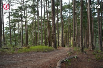 PRENN TRAIL SUMMIT 2024 - Ảnh #2971331