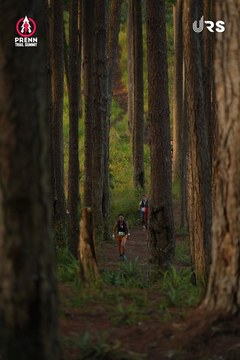 PRENN TRAIL SUMMIT 2024 - Ảnh #2966841