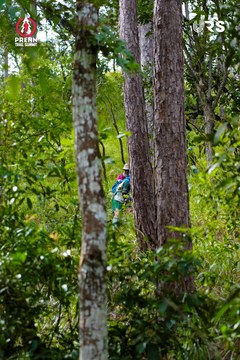 PRENN TRAIL SUMMIT 2024 - Ảnh #2968640