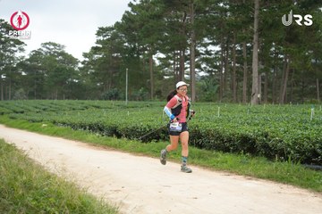 PRENN TRAIL SUMMIT 2024 - Ảnh #2978289
