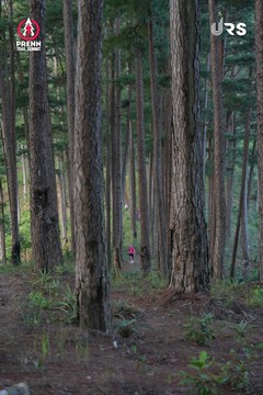 PRENN TRAIL SUMMIT 2024 - Ảnh #2970852