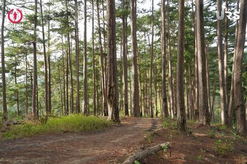PRENN TRAIL SUMMIT 2024 - Ảnh #2968220
