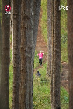 PRENN TRAIL SUMMIT 2024 - Ảnh #2971328