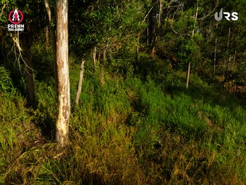 PRENN TRAIL SUMMIT 2024 - Ảnh #2975639