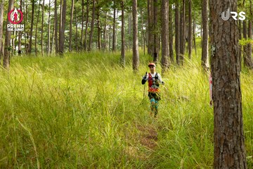Ảnh sự kiện PRENN TRAIL SUMMIT 2024 - 67fd937ca6266d78fb182c93c72a7219.jpg