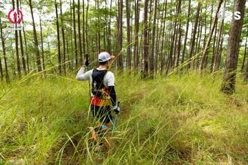 Ảnh sự kiện PRENN TRAIL SUMMIT 2024 - 688471e6194f51f20316318fce549d2f.jpg