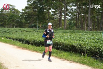 PRENN TRAIL SUMMIT 2024 - Ảnh #2968869