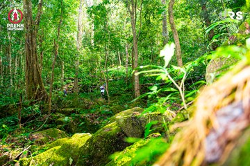 Ảnh sự kiện PRENN TRAIL SUMMIT 2024 - 70c00f42be062b5d061111b6920e586a.jpg