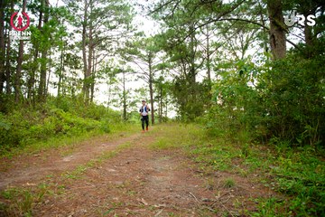Ảnh sự kiện PRENN TRAIL SUMMIT 2024 - 71cb228586720321ebedbe20478f0d2c.jpg