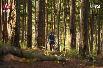 PRENN TRAIL SUMMIT 2024 - Ảnh #2967440