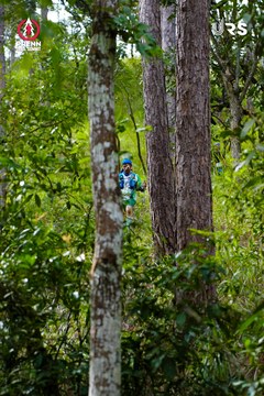 PRENN TRAIL SUMMIT 2024 - Ảnh #2968641