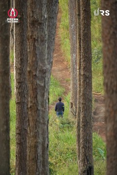 PRENN TRAIL SUMMIT 2024 - Ảnh #2971326