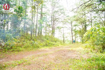 Ảnh sự kiện PRENN TRAIL SUMMIT 2024 - 84079c2a4a920ace591c9d0eb0ca9674.jpg
