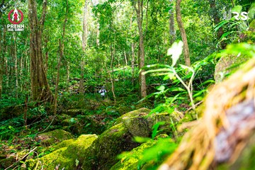 Ảnh sự kiện PRENN TRAIL SUMMIT 2024 - 8c4b14ed6136ee95dabb45b49e48a18e.jpg