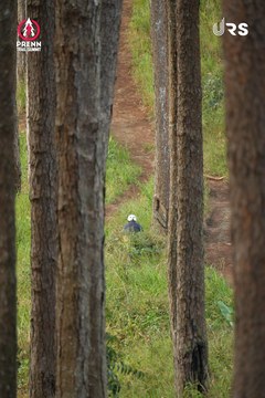 PRENN TRAIL SUMMIT 2024 - Ảnh #2971314