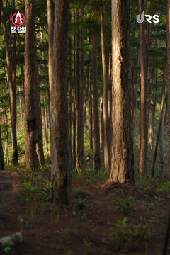 PRENN TRAIL SUMMIT 2024 - Ảnh #2967153