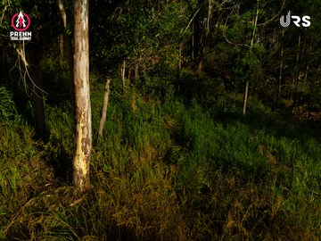 PRENN TRAIL SUMMIT 2024 - Ảnh #2975640