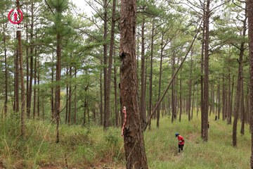 PRENN TRAIL SUMMIT 2024 - Ảnh #2975435