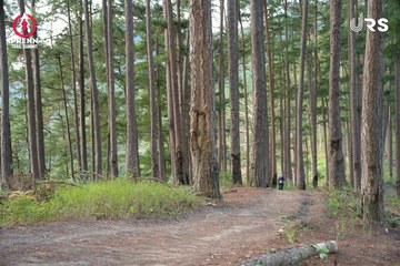 PRENN TRAIL SUMMIT 2024 - Ảnh #2971061