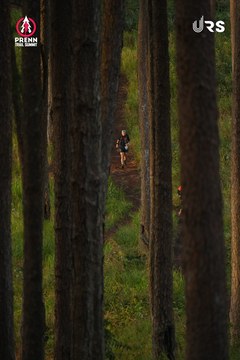 PRENN TRAIL SUMMIT 2024 - Ảnh #2966832