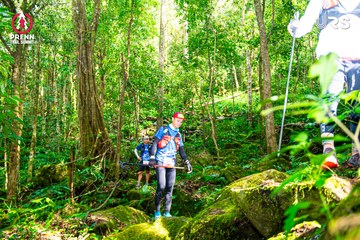 Ảnh sự kiện PRENN TRAIL SUMMIT 2024 - afc8103e2a3d314429b1fd2304badc69.jpg
