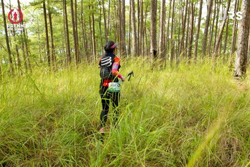 Ảnh sự kiện PRENN TRAIL SUMMIT 2024 - b6800b587b90c046cf370856f241bec8.jpg