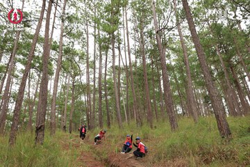 PRENN TRAIL SUMMIT 2024 - Ảnh #2975464