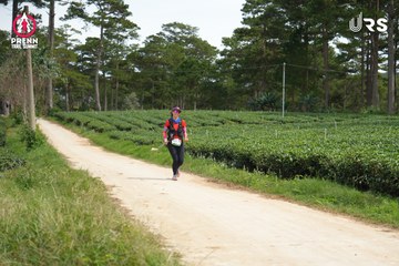 PRENN TRAIL SUMMIT 2024 - Ảnh #2968925