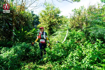 Ảnh sự kiện PRENN TRAIL SUMMIT 2024 - c04ea2ec5008462b16fe122f64214666.jpg