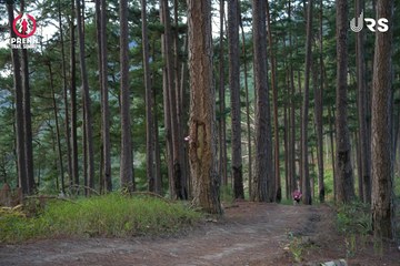 PRENN TRAIL SUMMIT 2024 - Ảnh #2970859