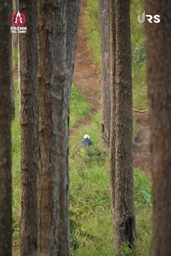 PRENN TRAIL SUMMIT 2024 - Ảnh #2971312