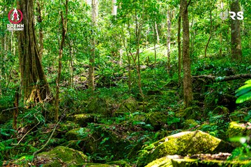 Ảnh sự kiện PRENN TRAIL SUMMIT 2024 - cf6f0850b7c37d6a0917646f045bf806.jpg