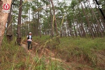 PRENN TRAIL SUMMIT 2024 - Ảnh #2975460