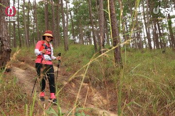 PRENN TRAIL SUMMIT 2024 - Ảnh #2975399