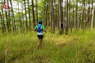 Ảnh sự kiện PRENN TRAIL SUMMIT 2024 - d46bb17e0edddf2a810bc9770817301a.jpg