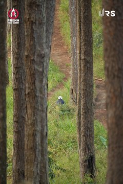 PRENN TRAIL SUMMIT 2024 - Ảnh #2971313