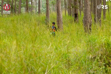 Ảnh sự kiện PRENN TRAIL SUMMIT 2024 - dbb0798e96f11ddab7b507205207c6c6.jpg