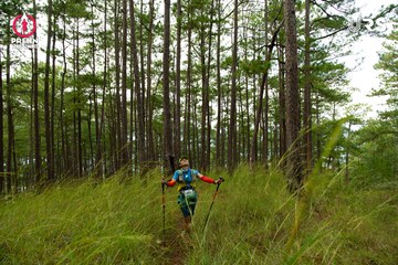 Ảnh sự kiện PRENN TRAIL SUMMIT 2024 - dc286dbafb6a89b457a77f0c8fd7e493.jpg