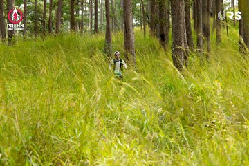 Ảnh sự kiện PRENN TRAIL SUMMIT 2024 - e312d3f36d440452b97828c96e8ae179.jpg