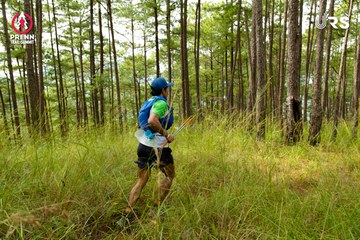 Ảnh sự kiện PRENN TRAIL SUMMIT 2024 - e95701aa8da2e1d86ac3c7356f7dc0e0.jpg