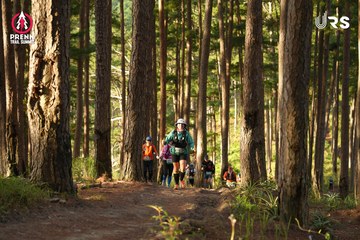 PRENN TRAIL SUMMIT 2024 - Ảnh #2967354